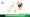 Benefits of Direct Follicle Implantation