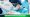 The ARTAS Robotic Hair Transplant System