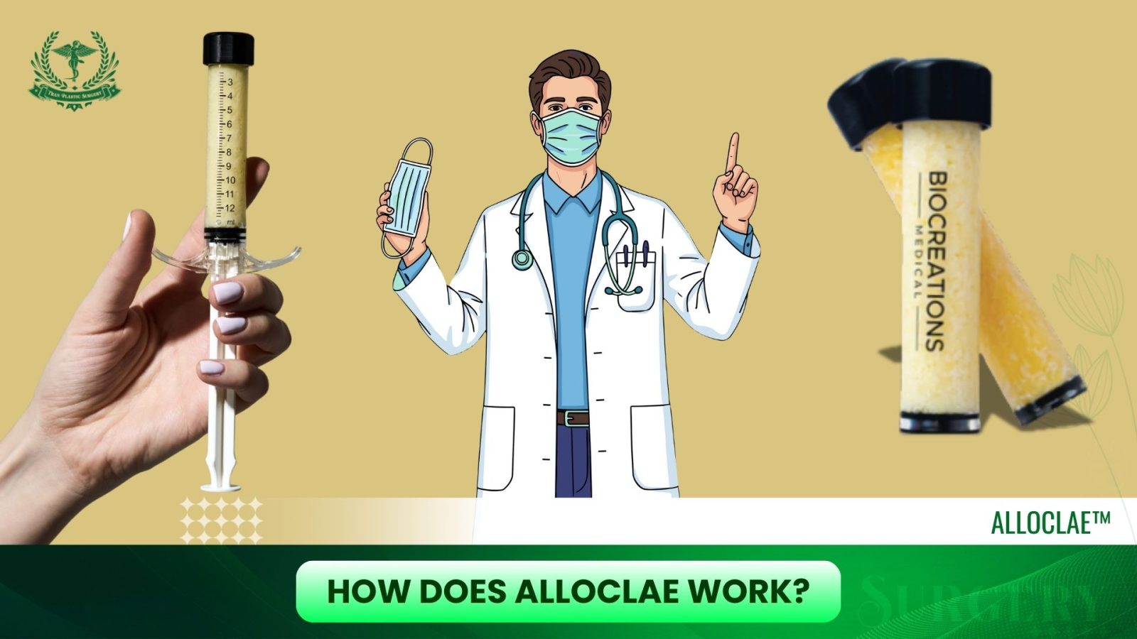 How Does AlloClae Work?