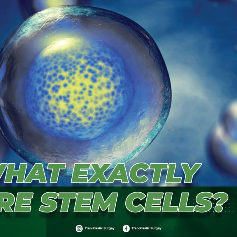 learn-about-stem-cells