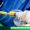 the-power-of-fat-grafting-tran-plastic-surgery